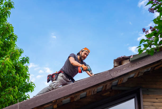 Best Emergency Roof Repair Services  in Harriman, TN