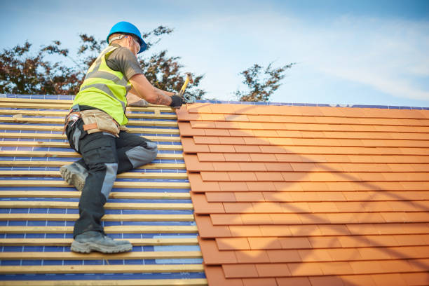 Best Metal Roofing Installation  in Harriman, TN